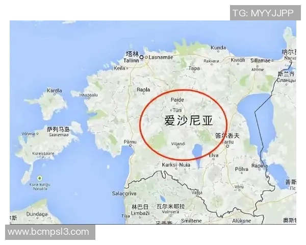 爱沙尼亚与匈牙利激战实况回顾及精彩瞬间分析